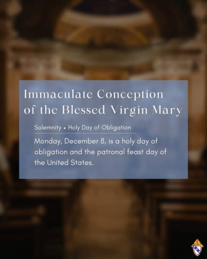 fb-168358359553_1205963138300791