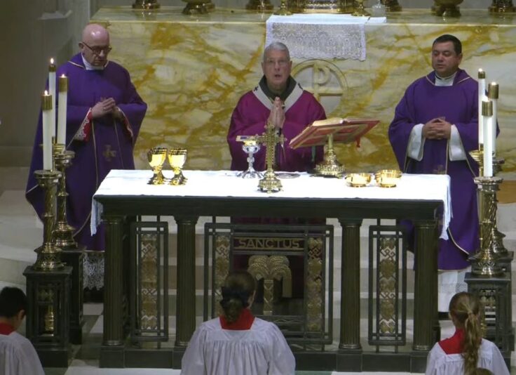 fb-358520518166_1305959564909529