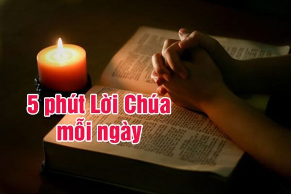 fb-356526171666570_1149241567198369