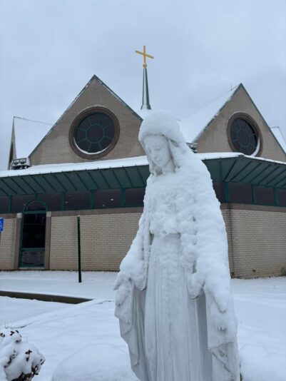 fb-49347972598_1298897805609380