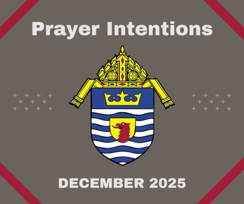 fb-249421551878973_1300736968754799