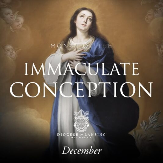 fb-210323997912_1250191593806817