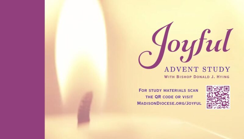 fb-194350237252996_25750520781207032