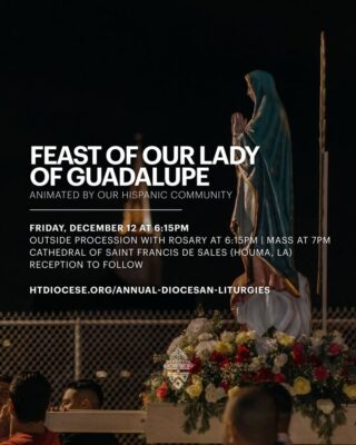 fb-695846880481318_837133495615414