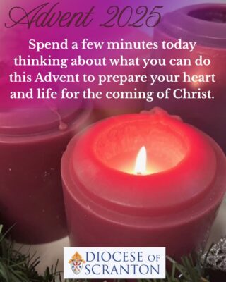 fb-313158165452988_1297573035747979