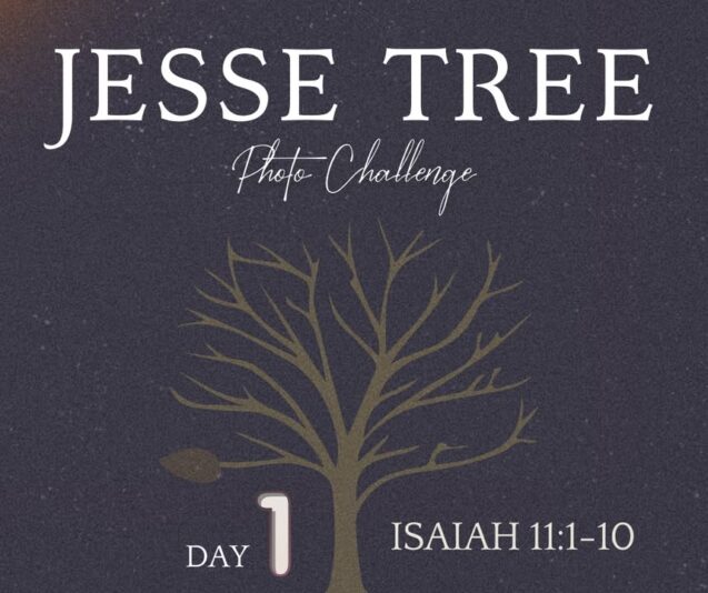 fb-107704176960_1253122023516607