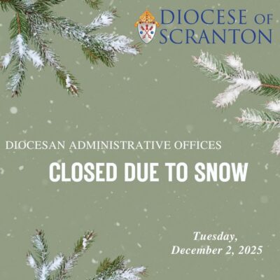 fb-313158165452988_1298132459025370