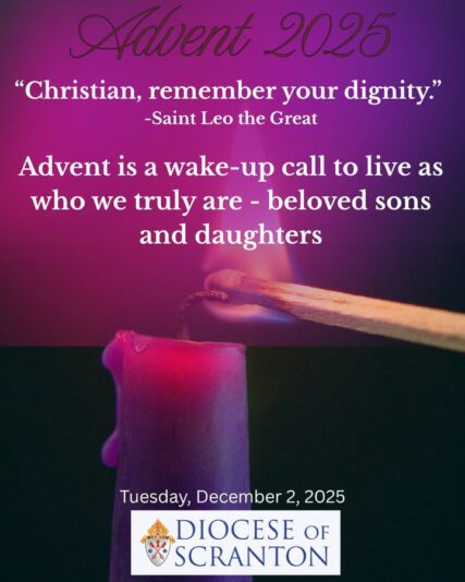 fb-313158165452988_1298078249030791