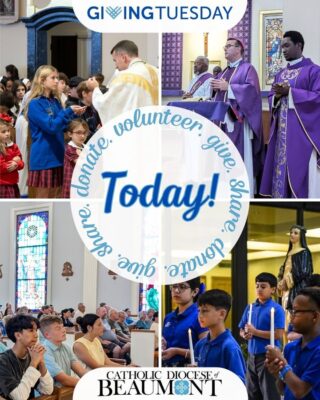 fb-147325878647167_1268135792019021