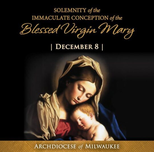 fb-355703527834405_1317564640414338