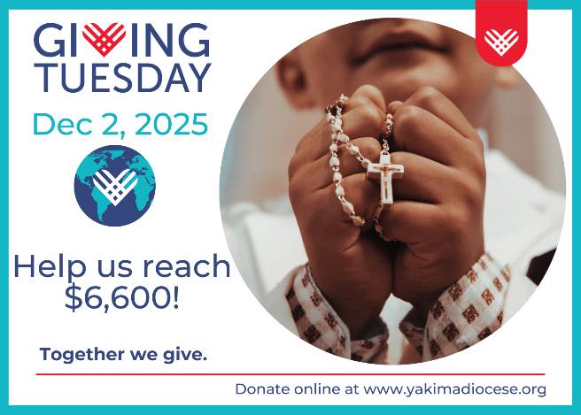 fb-171655892889402_1277756684375597