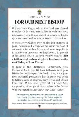 fb-249421551878973_1302541578574338