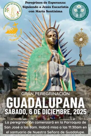 fb-147325878647167_1268554218643845