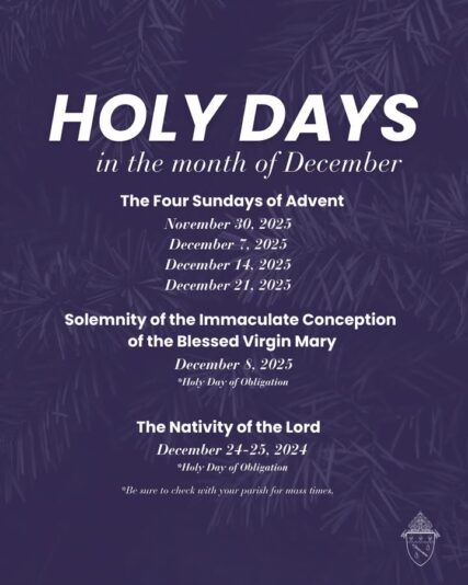 fb-159601077411766_1230399185898427