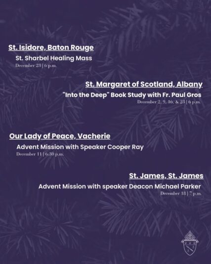 fb-159601077411766_1230399185898427