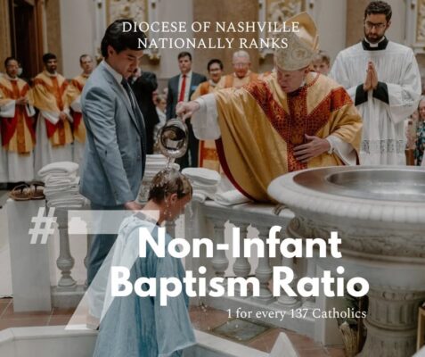 fb-1146610888716848_1305792548256634