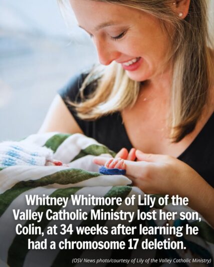 fb-1146610888716848_1305940568241832