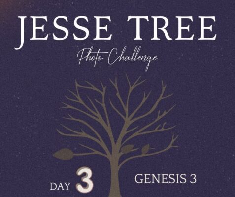 fb-107704176960_1254500693378740