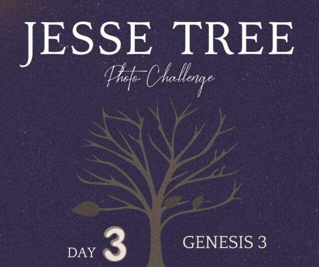 fb-107704176960_1254500693378740