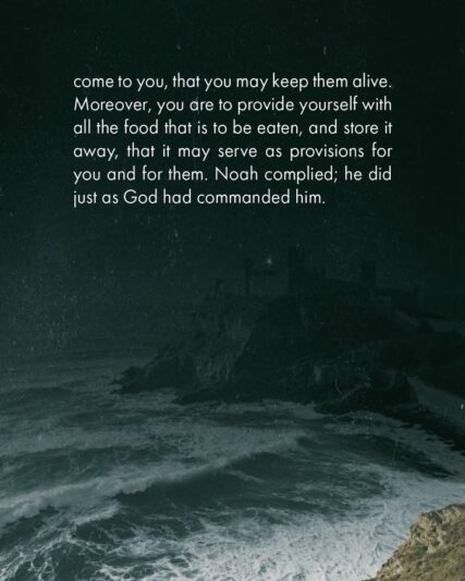 fb-124319130912226_1292188422953583