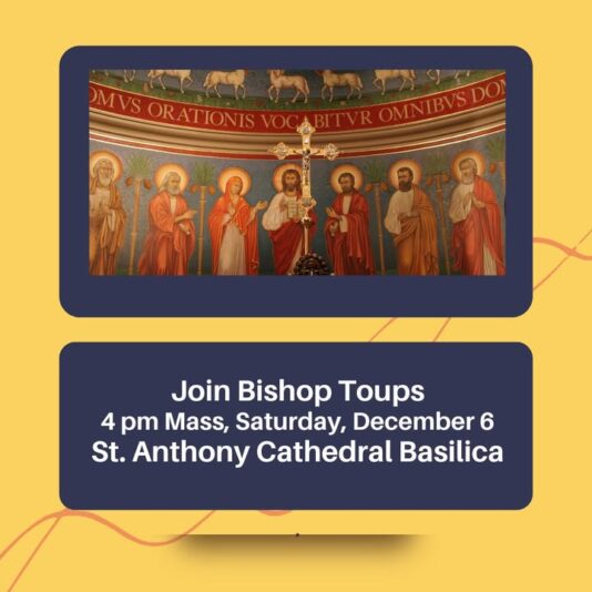 fb-147325878647167_1269103915255542