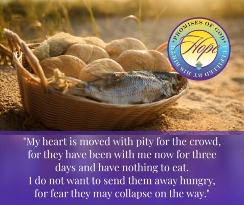 fb-325330457584074_1282051137299047