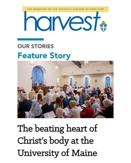 fb-116343758405910_1284863260337912