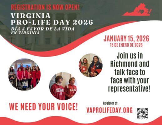 fb-162230245392_1313586140805305