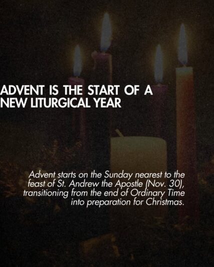 fb-1146610888716848_1305764371592785