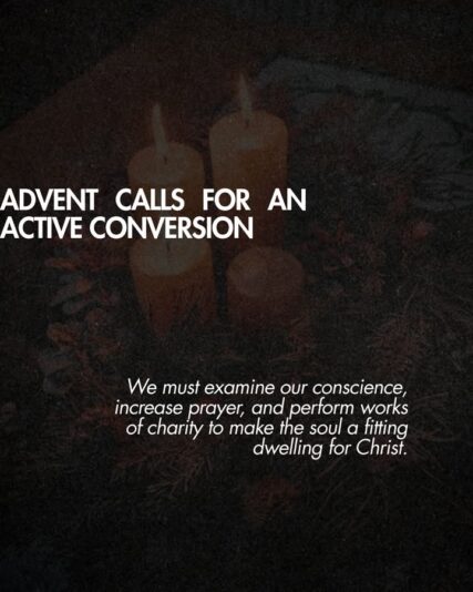 fb-1146610888716848_1305764371592785