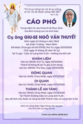 fb-1578851229095483_1261146856056553