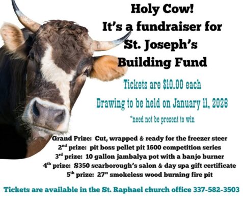 fb-249421551878973_1303672878461208