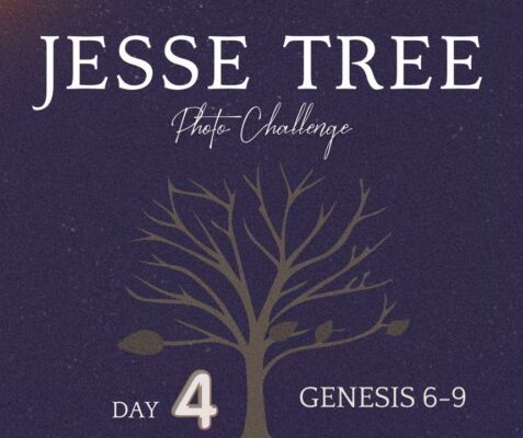 fb-107704176960_1255305983298211