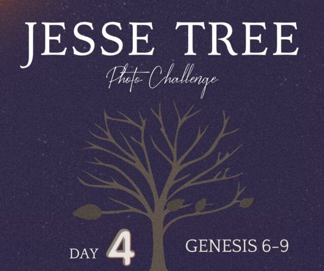 fb-107704176960_1255305983298211