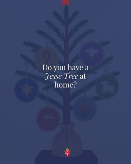 fb-134218149924080_1253111516845175