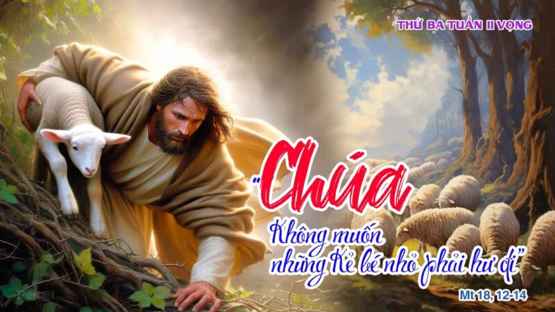 fb-585442494803518_1269122978585582