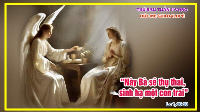 fb-585442494803518_1269122978585582