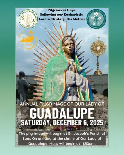 fb-147325878647167_1269697388529528