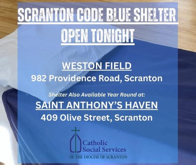 fb-313158165452988_1299954092176540