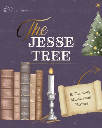 fb-49347972598_1301353932030434