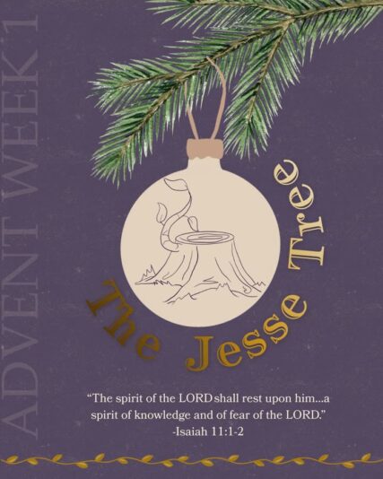 fb-49347972598_1301353932030434