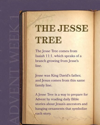 fb-49347972598_1301353932030434