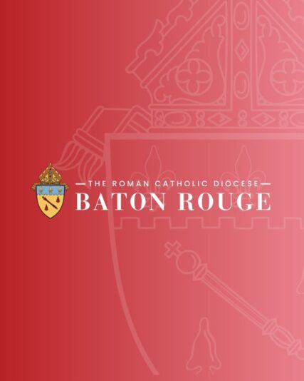 fb-159601077411766_1231180409153638