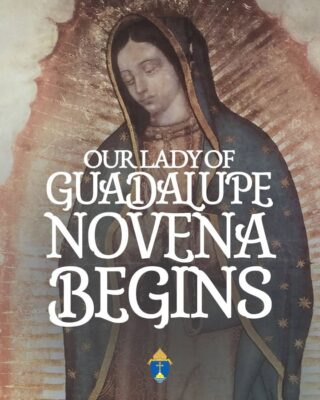 fb-254469157605_1260758216094963