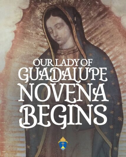 fb-254469157605_1260758216094963