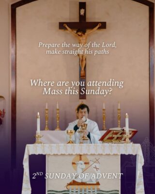 fb-1146610888716848_1308775407958348