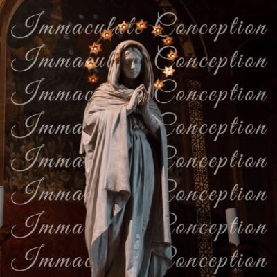 fb-1146610888716848_1308041774698378