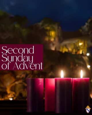 fb-168358359553_1210250791205359