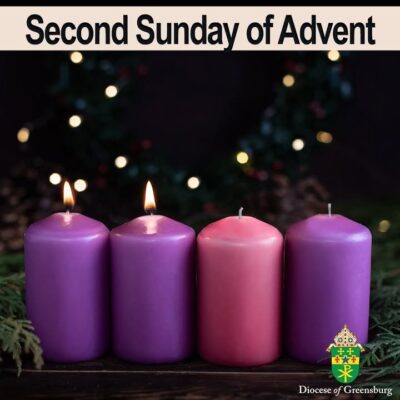 fb-178070992226049_1299327688897181