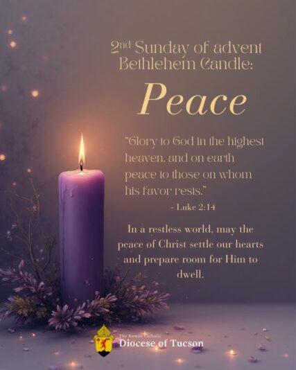 fb-105215447933539_1150001057344764